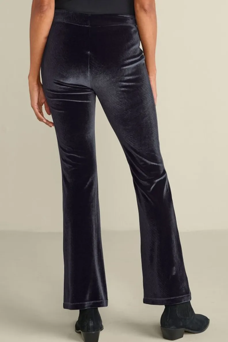 Best Soft Surroundings Gianna Velvet Bootcut Pants Black